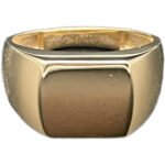 Siegelring 585 Gold R155