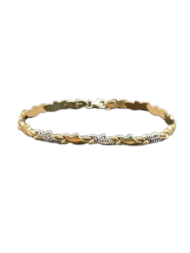 Foto 15.11.23, 09 37 49