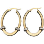 Ohrhänger 585 Gold O58