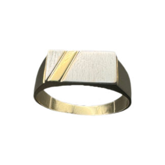 Siegelring 585 Gold R11