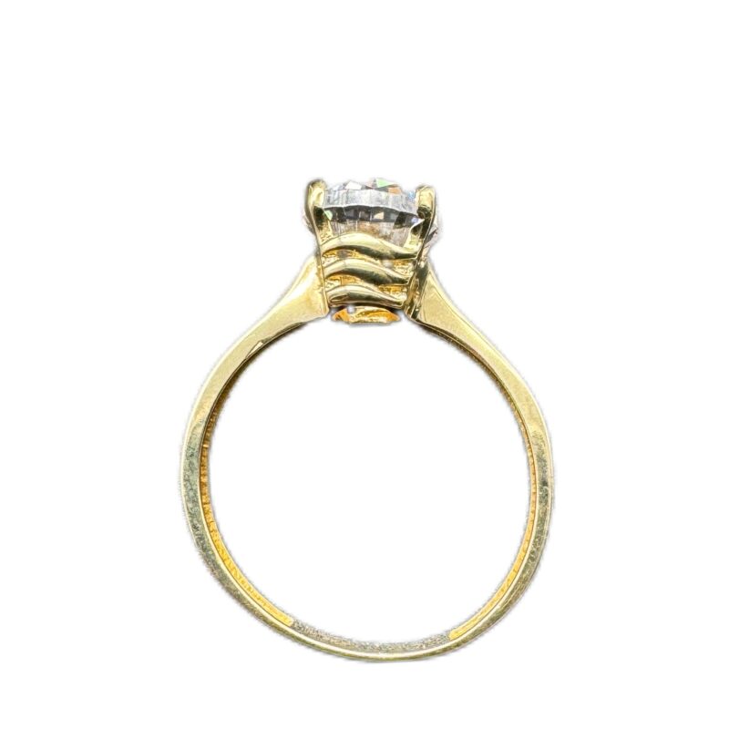 Foto 04.06.24, 17 31 35 (38)