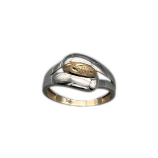 Ring 585 Gold R458