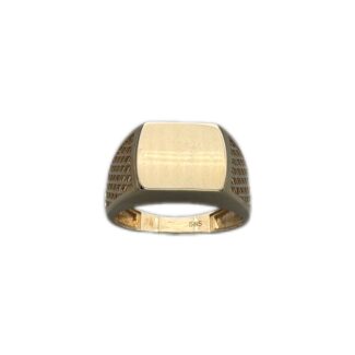 Siegelring 585 Gold R476