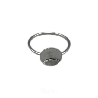 Plättchenring 585 Gold R477