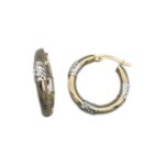Ohrhänger 585 Gold O234